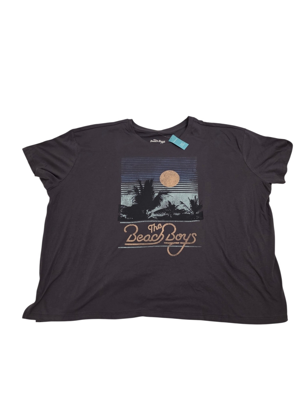 The Beach Boys Graphic T-Shirt